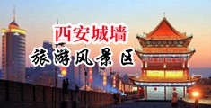 性爱网址激情啊插我中国陕西-西安城墙旅游风景区